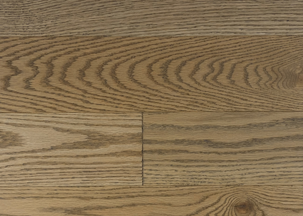 Yamaska Red Oak Halo